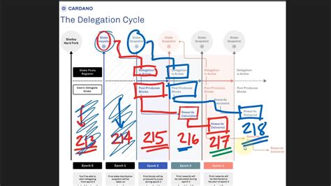The Delegation Cycle and Staking Rewards Distribution.